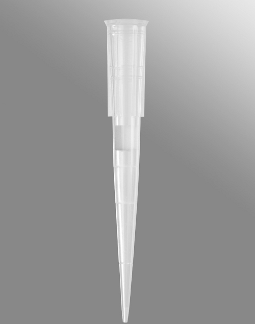 puntaaaaaa con filtrooooooooo